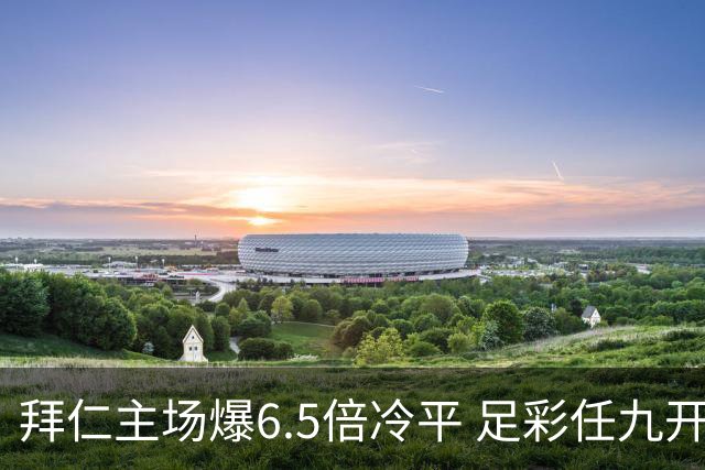 拜仁主场爆6.5倍冷平 足彩任九开118注11.3万元